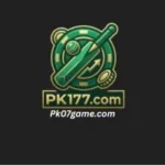 Pk177 game download offering varity of features and game to entertain users