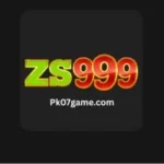 Zs999 game mobile app interface showing real money casino games and fast withdrawal options on Android devices in Pakistan