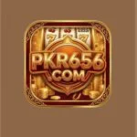 Pkr656 gaem app features image